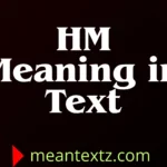 hm meaning in text