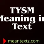 tysm meaning in text