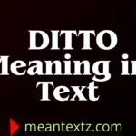 ditto meaning in text