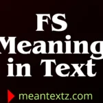 fs meaning in text