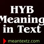 hyb meaning in text
