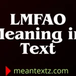 lmfao meaning in text