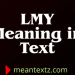 lmy meaning in text