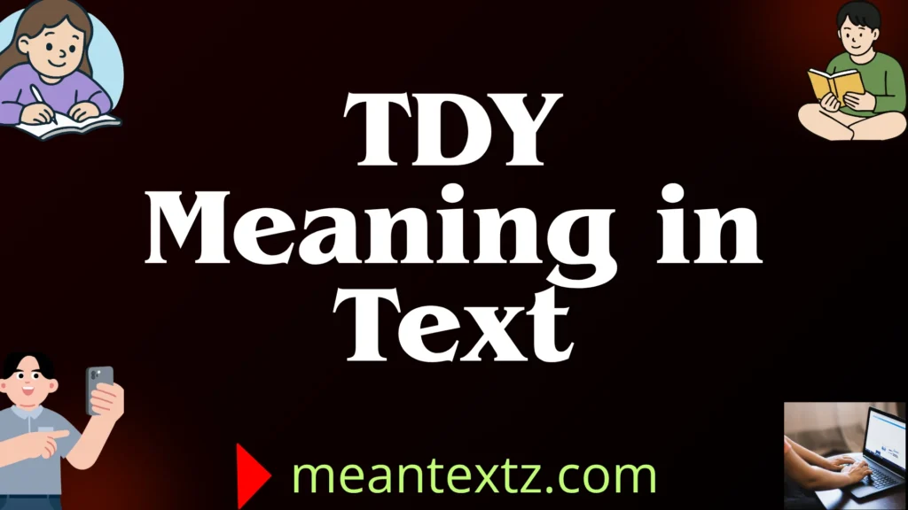 tdy meaning in text