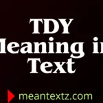 tdy meaning in text