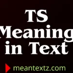 ts meaning in text