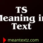 ts meaning in text Instagram
