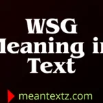 wsg meaning in text