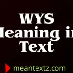 wys meaning in text