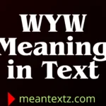 wyw meaning in text