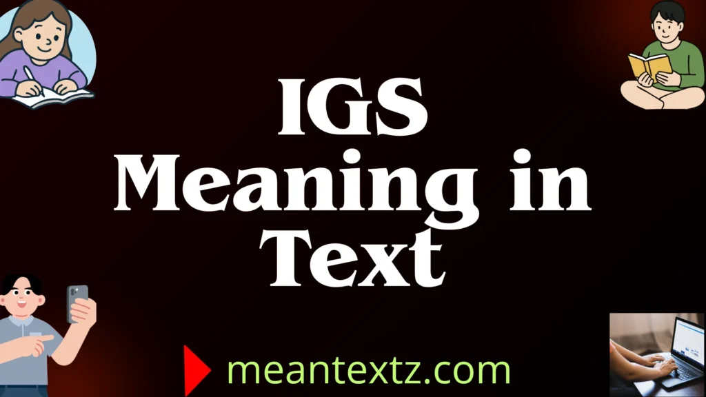 igs meaning in text