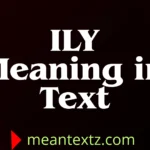 ily meaning in text