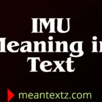 imu meaning in text