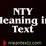 nty meaning in text