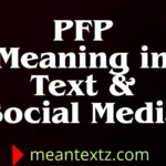 pfp meaning in text & Social Media