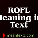 rofl meaning in text