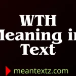 wth meaning in text