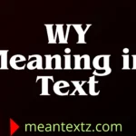 wy meaning in text