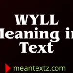 wyll meaning in text