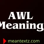 awl meaning