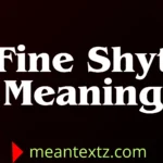 Fine Shyt Meaning
