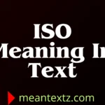 iso meaning in text