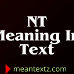 nt meaning in text
