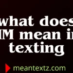 what does nm mean in texting