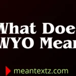 what does wyo mean