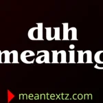 duh meaning