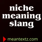 niche meaning slang
