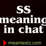 ss meaning in chat