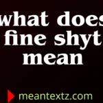 what does fine shyt mean