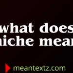what does niche mean